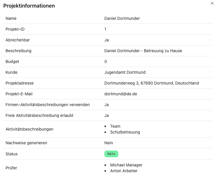 Projektansicht in Zeitmatrose für Dienstleistungsunternehmen