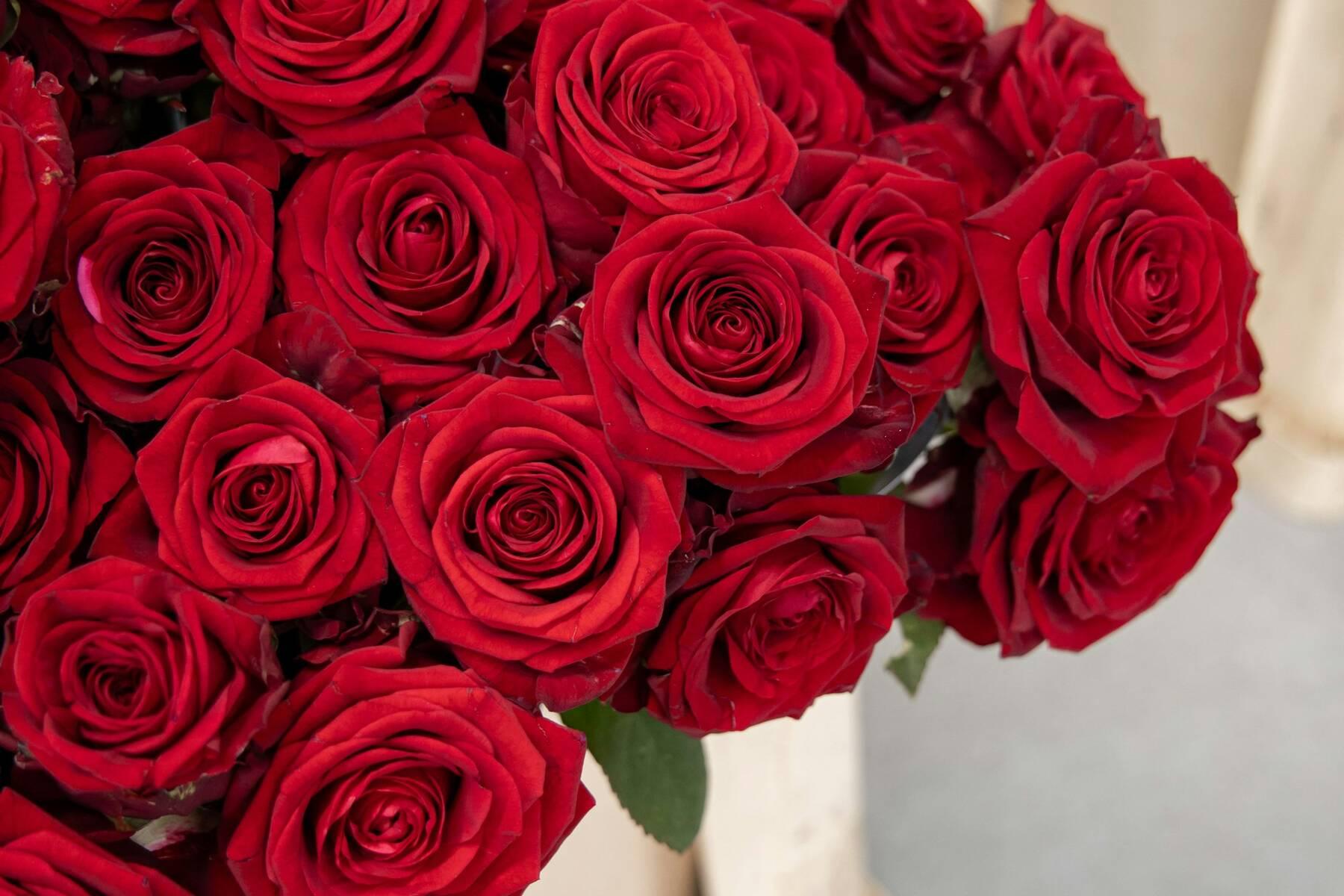 Rote Rosen in einer Holzkiste